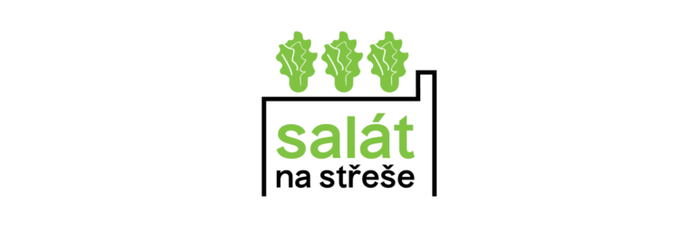 salát 2